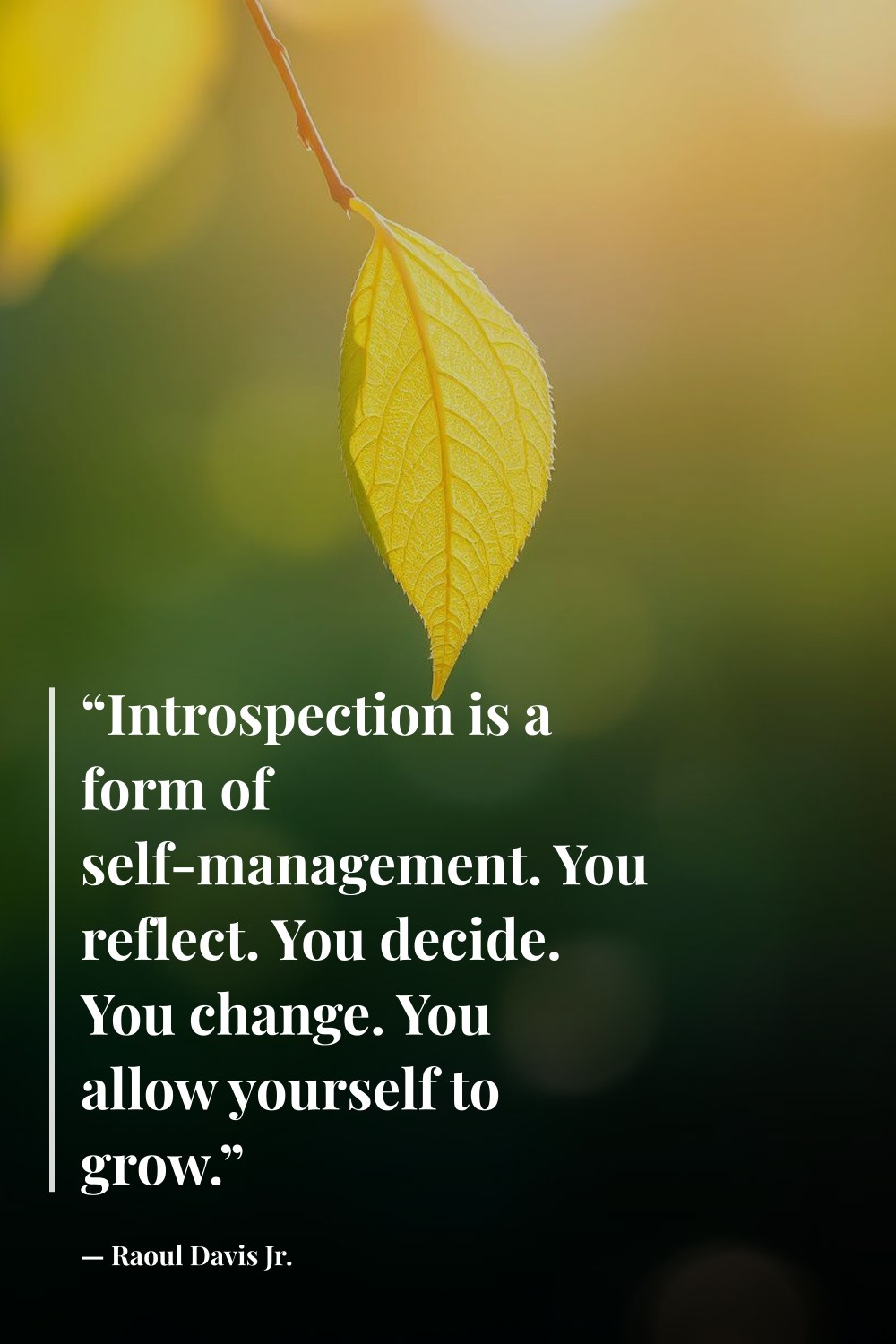"“Introspection is a form of self-management. You reflect. You decide. You change. You allow yourself to grow.”" — Raoul Davis Jr.