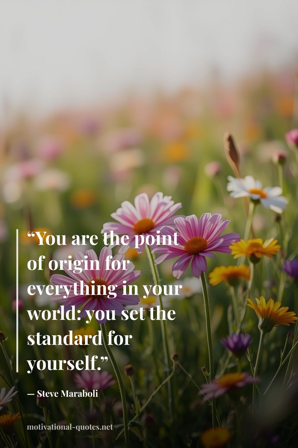 "“You are the point of origin for everything in your world: you set the standard for yourself.”" — Steve Maraboli