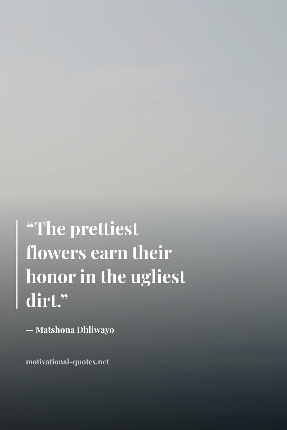 "“The prettiest flowers earn their honor in the ugliest dirt.”" — Matshona Dhliwayo