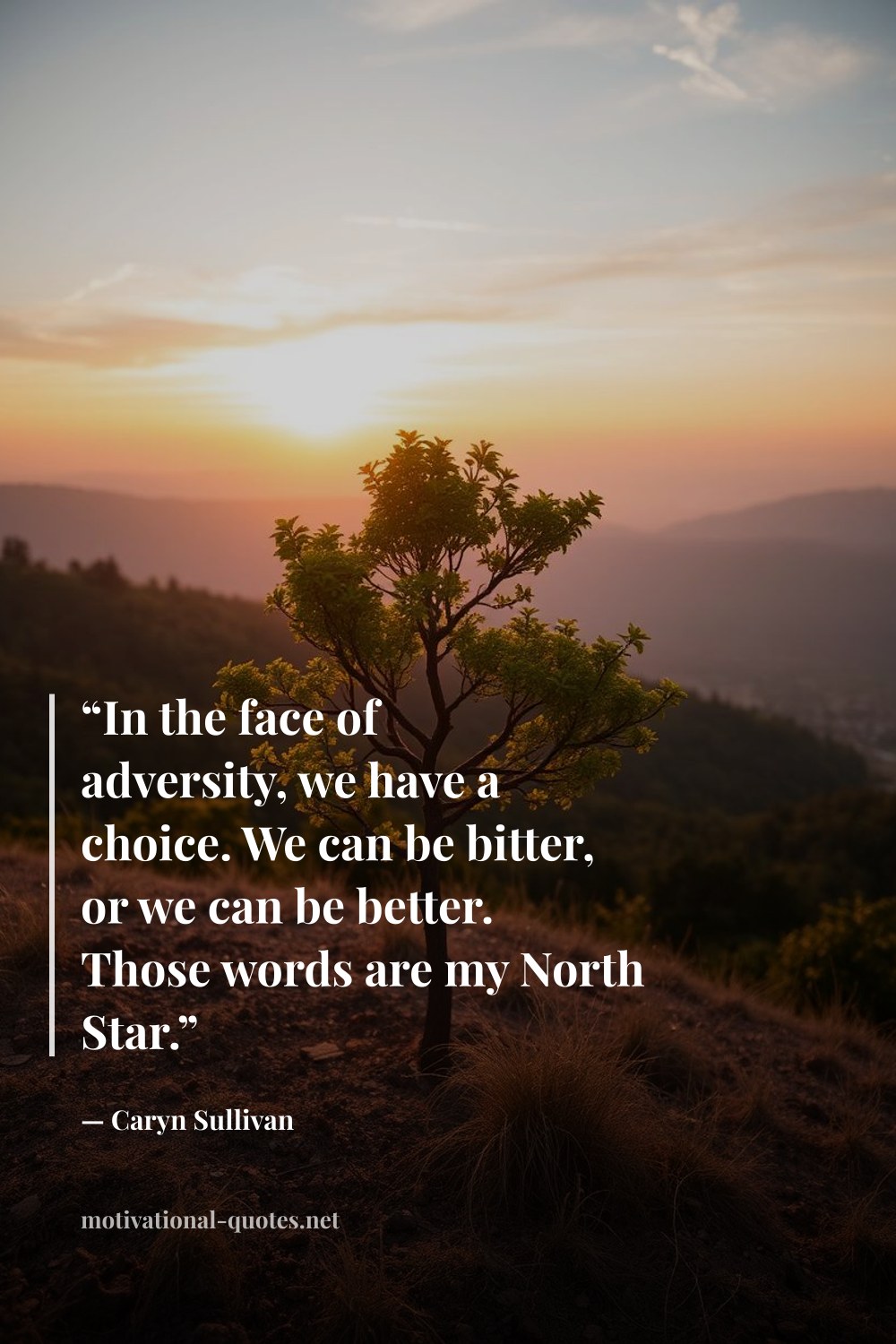 "“In the face of adversity, we have a choice. We can be bitter, or we can be better. Those words are my North Star.”" — Caryn Sullivan