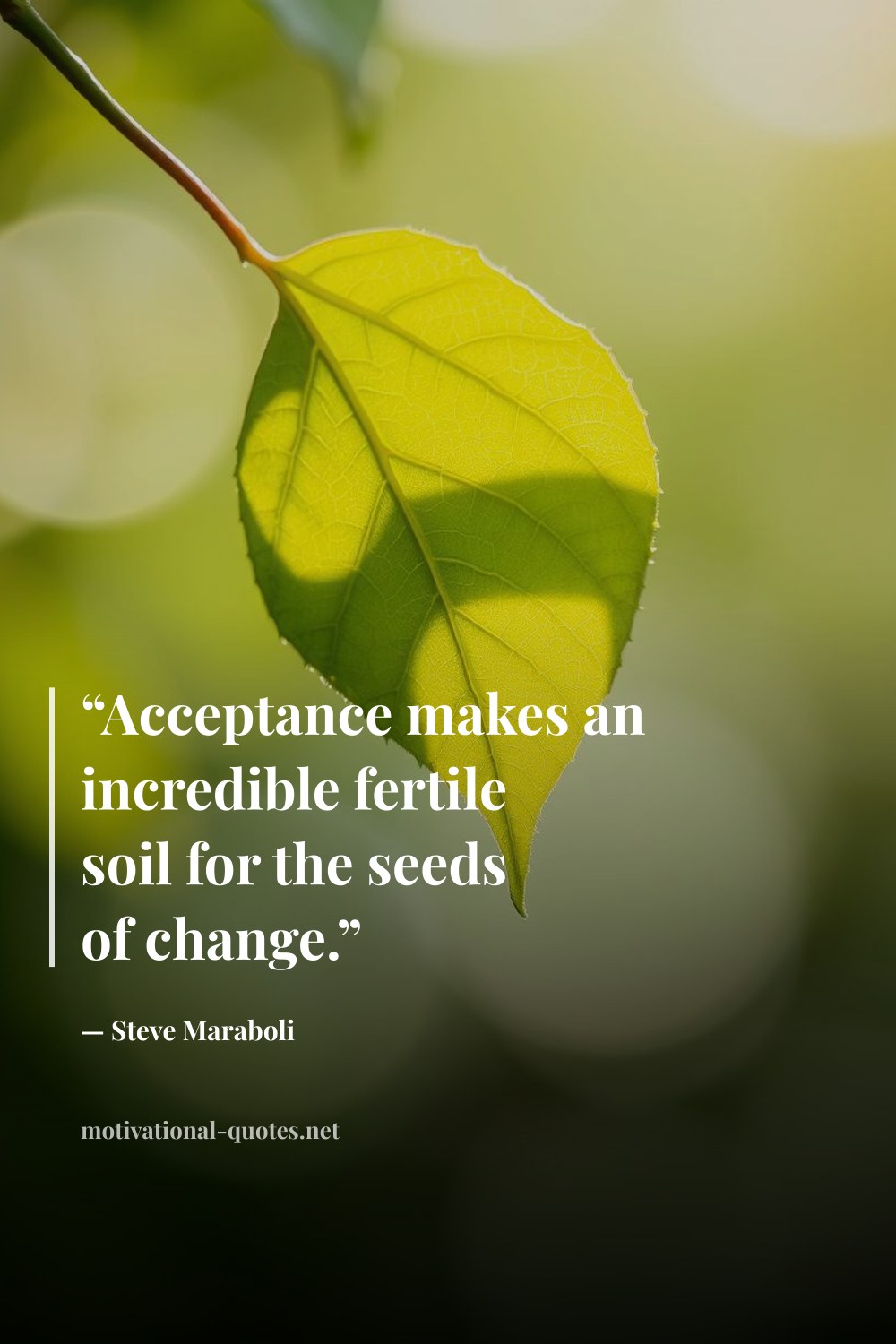 "“Acceptance makes an incredible fertile soil for the seeds of change.”" — Steve Maraboli