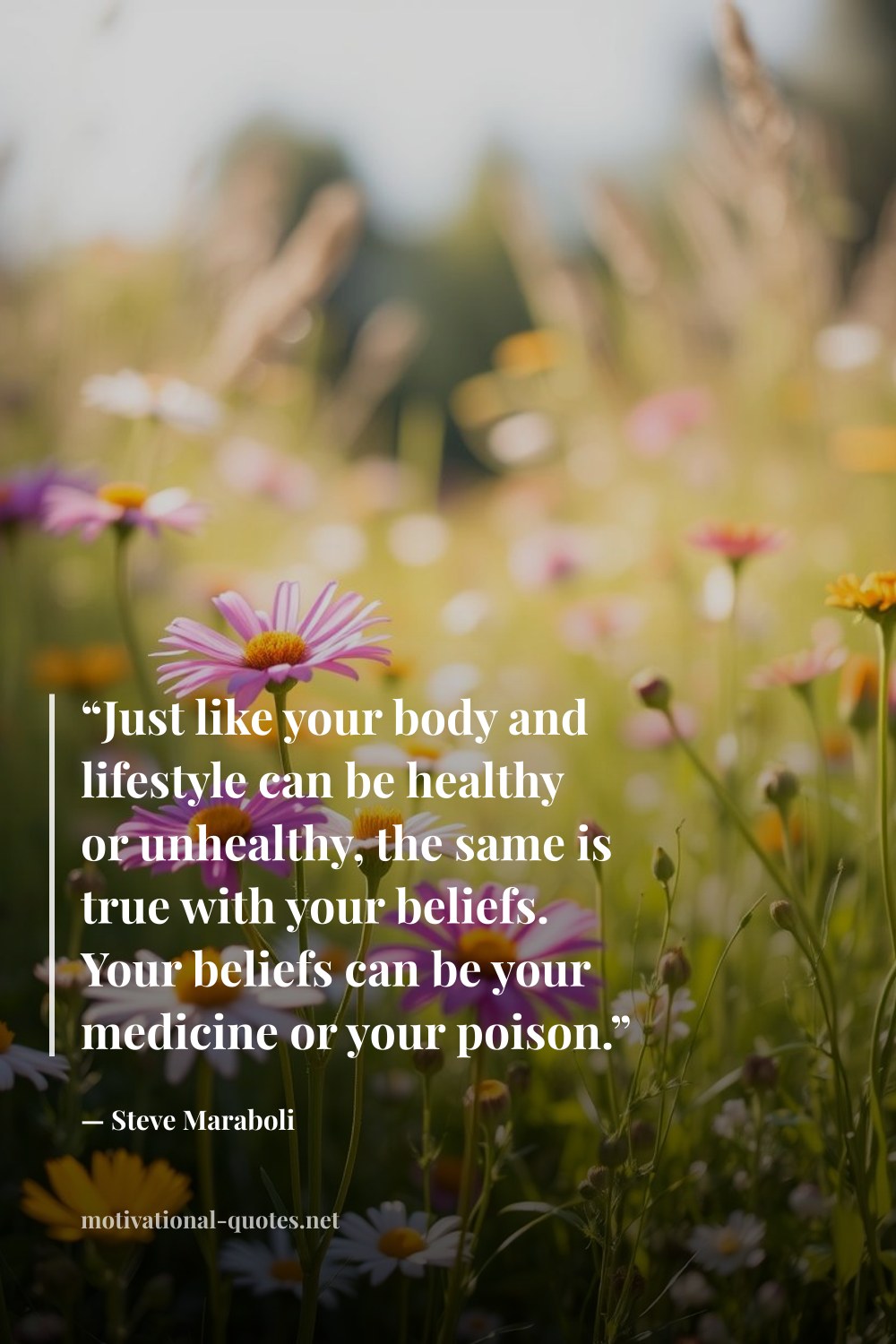 "“Just like your body and lifestyle can be healthy or unhealthy, the same is true with your beliefs. Your beliefs can be your medicine or your poison.”" — Steve Maraboli