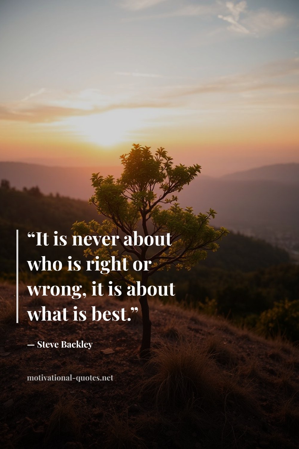 "“It is never about who is right or wrong, it is about what is best.”" — Steve Backley