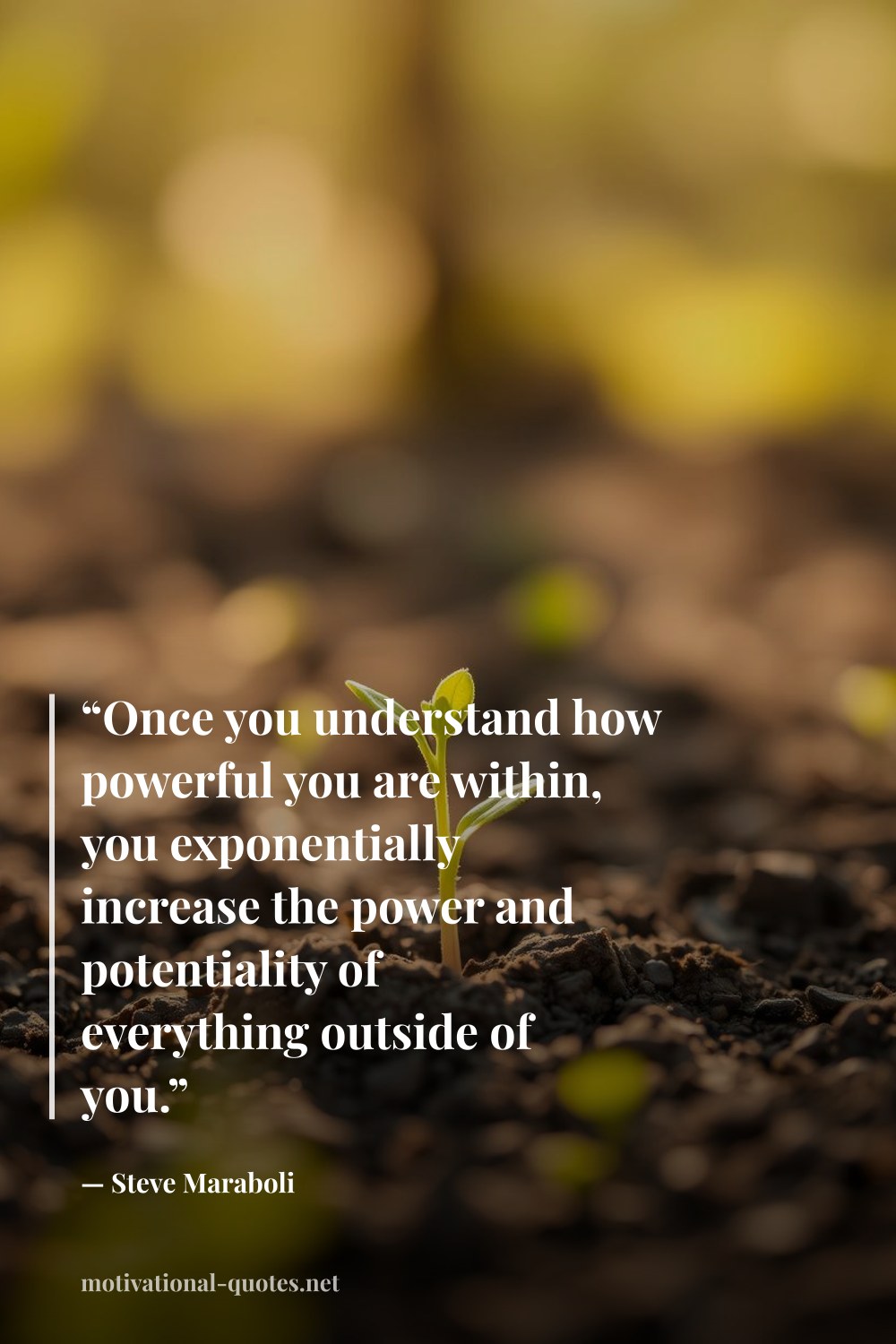"“Once you understand how powerful you are within, you exponentially increase the power and potentiality of everything outside of you.”" — Steve Maraboli