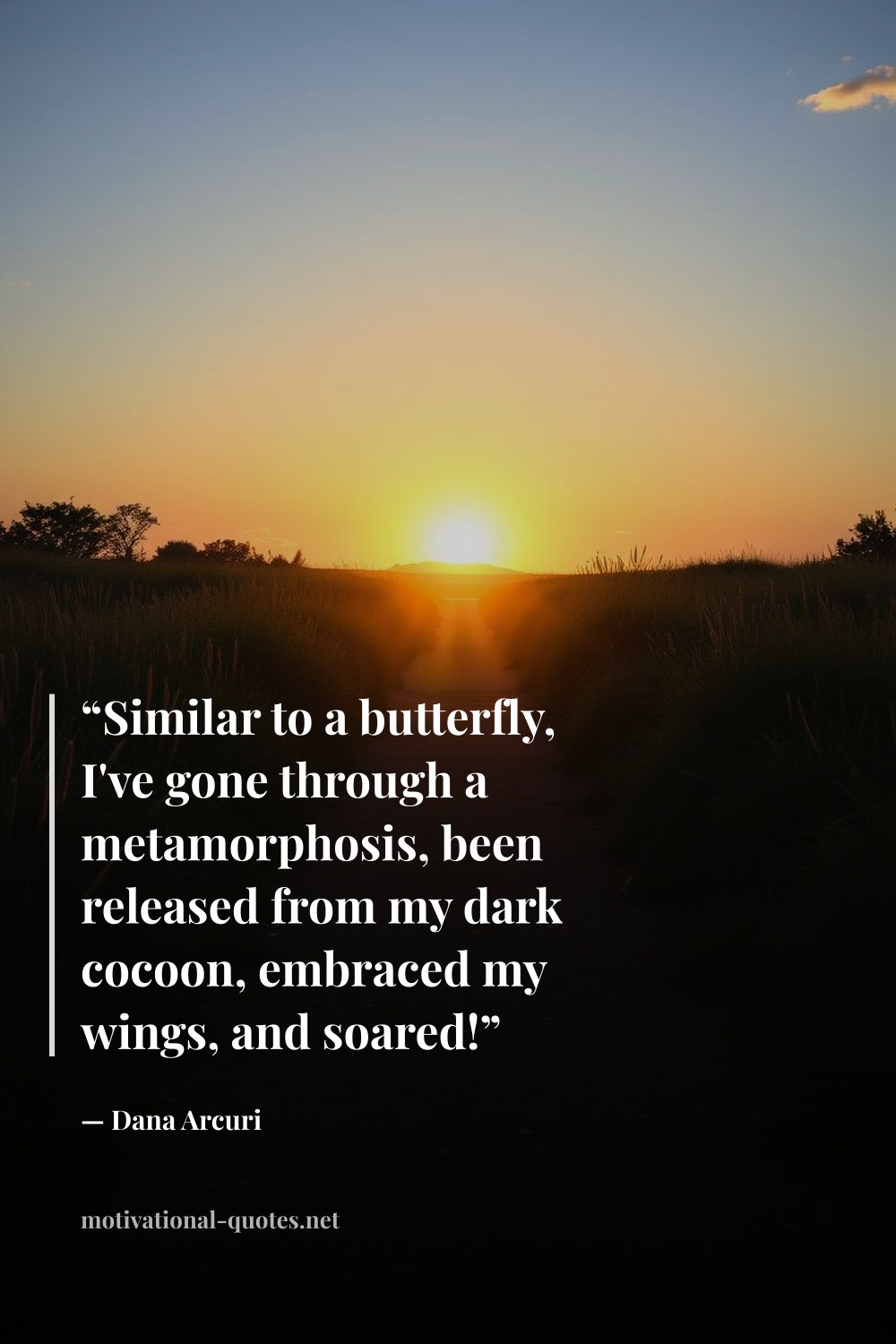 "“Similar to a butterfly, I've gone through a metamorphosis, been released from my dark cocoon, embraced my wings, and soared!”" — Dana Arcuri