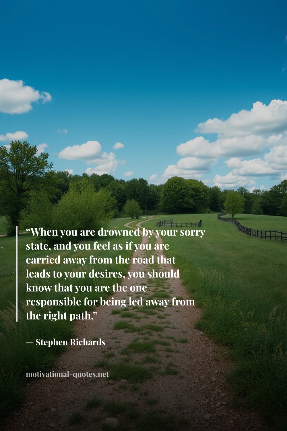 "“When you are drowned by your sorry state, and you feel as if you are carried away from the road that leads to your desires, you should know that you are the one responsible for being led away from the right path.”" — Stephen Richards