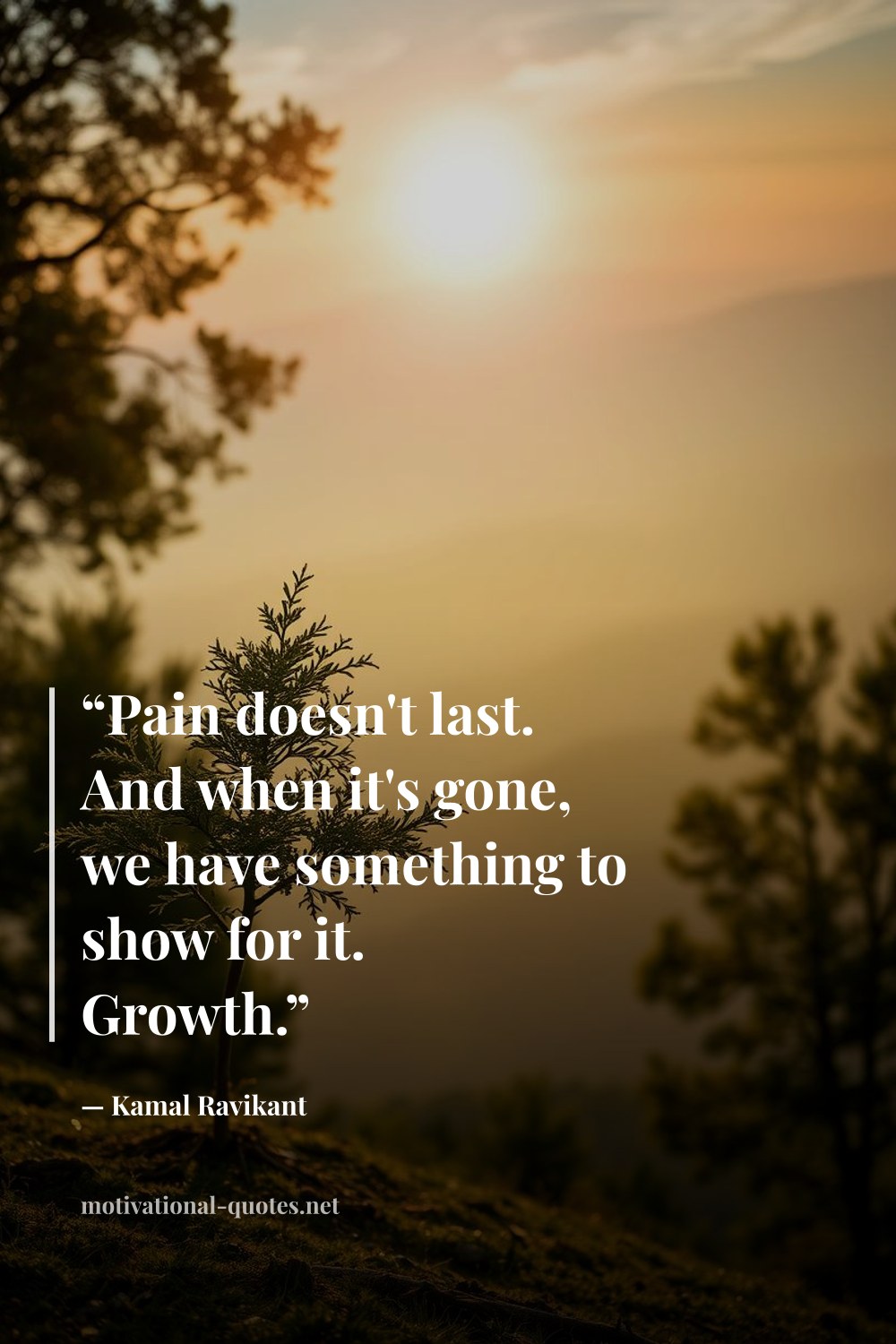 "“Pain doesn't last. And when it's gone, we have something to show for it. Growth.”" — Kamal Ravikant