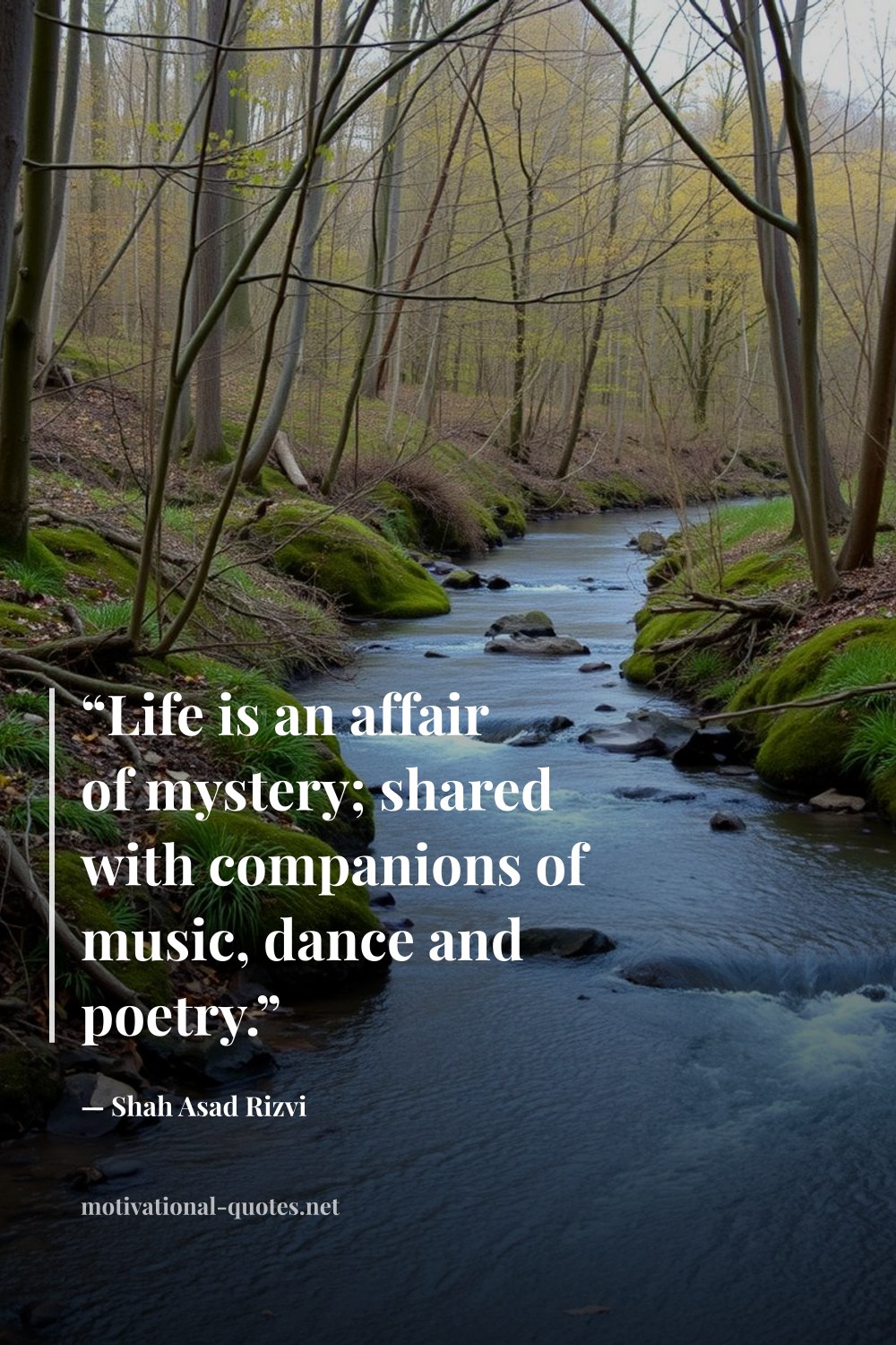 "“Life is an affair of mystery; shared with companions of music, dance and poetry.”" — Shah Asad Rizvi