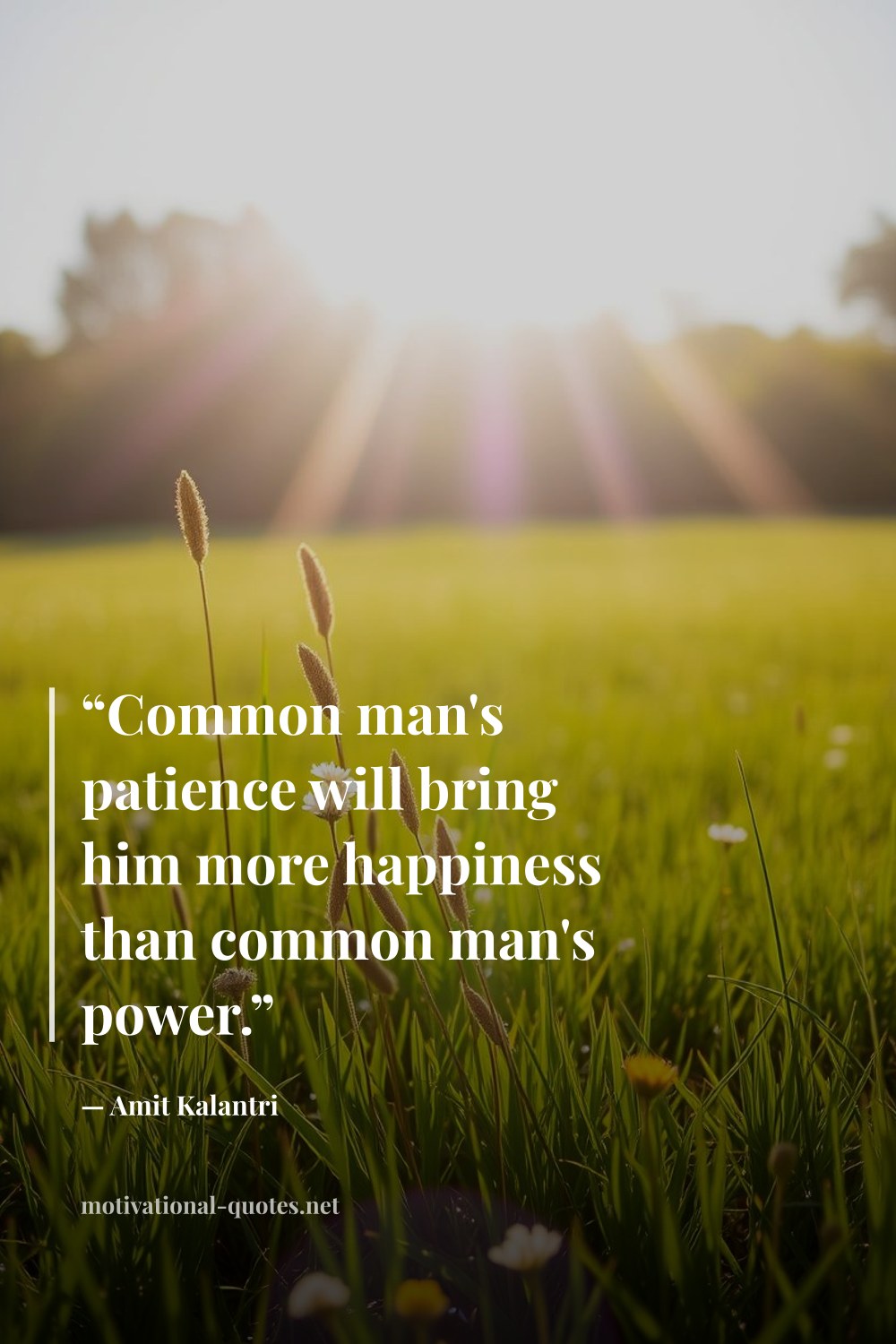 "“Common man's patience will bring him more happiness than common man's power.”" — Amit Kalantri