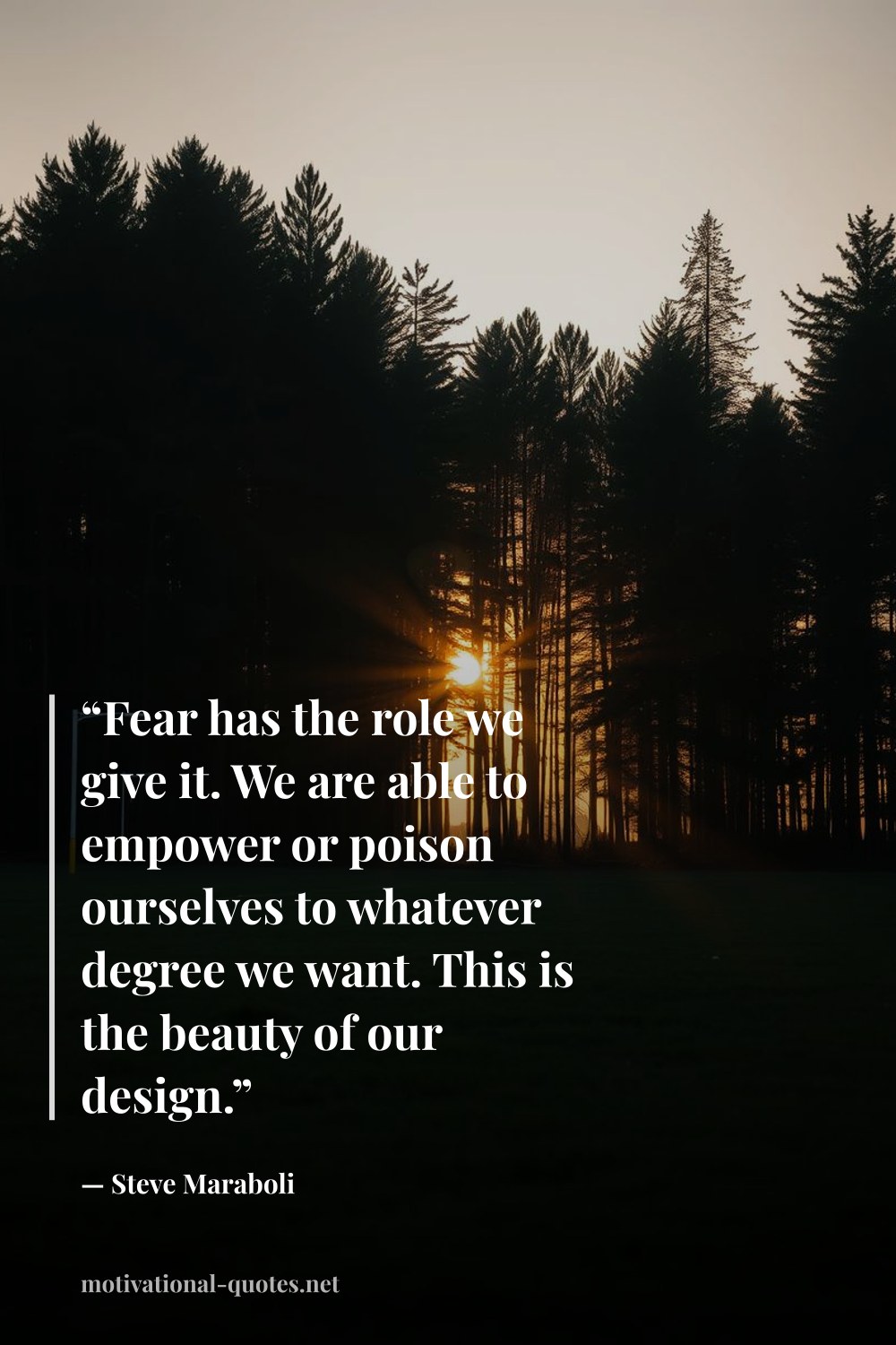 "“Fear has the role we give it. We are able to empower or poison ourselves to whatever degree we want. This is the beauty of our design.”" — Steve Maraboli