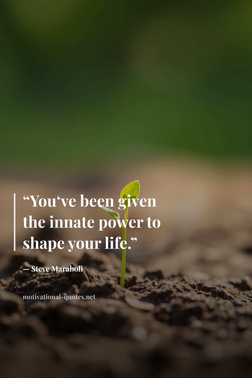 "“You‘ve been given the innate power to shape your life.”" — Steve Maraboli