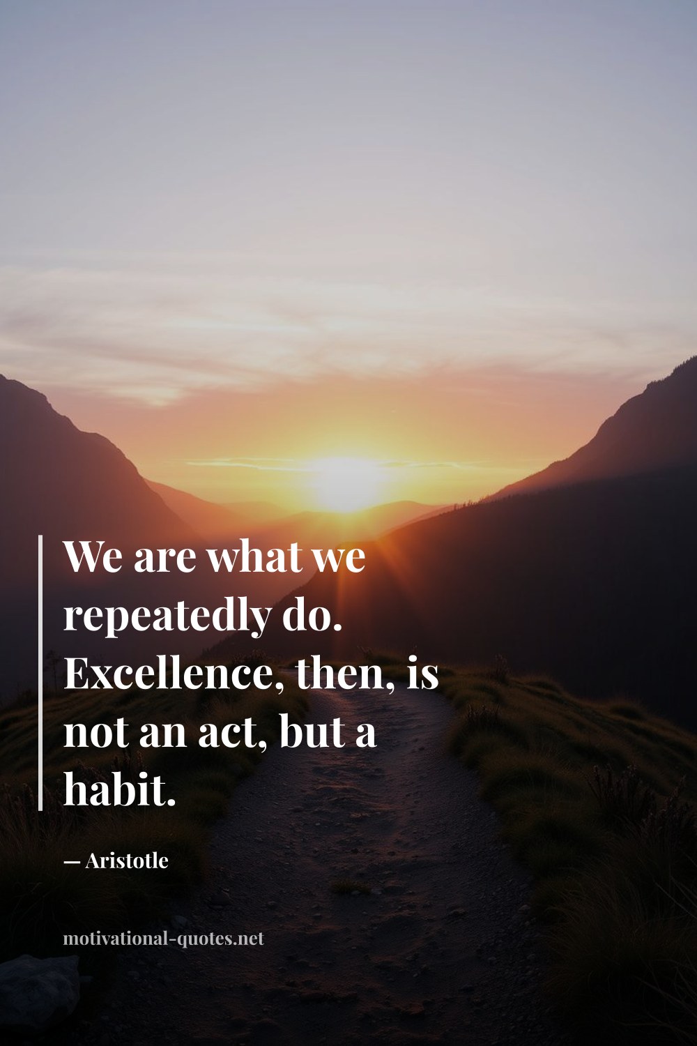 "We are what we repeatedly do. Excellence, then, is not an act, but a habit." — Aristotle
