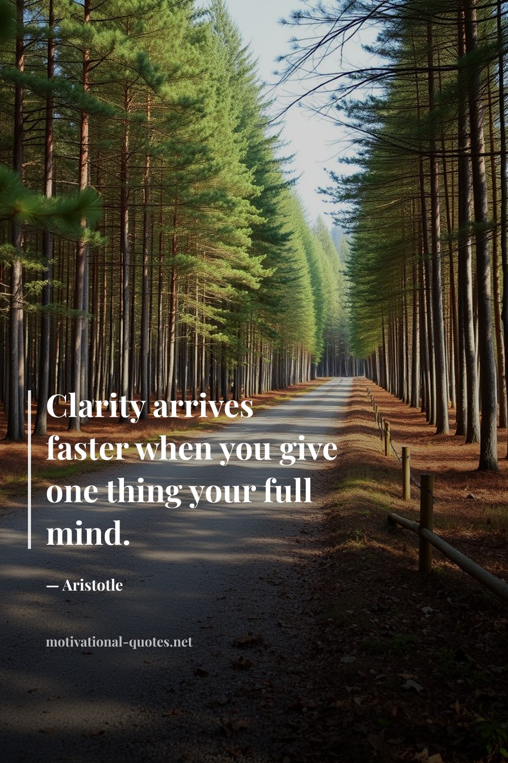 "Clarity arrives faster when you give one thing your full mind." — Aristotle
