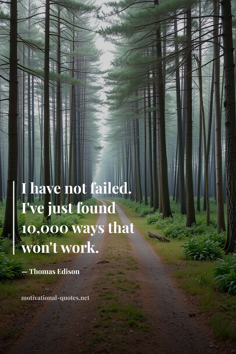 "I have not failed. I've just found 10,000 ways that won't work." — Thomas Edison