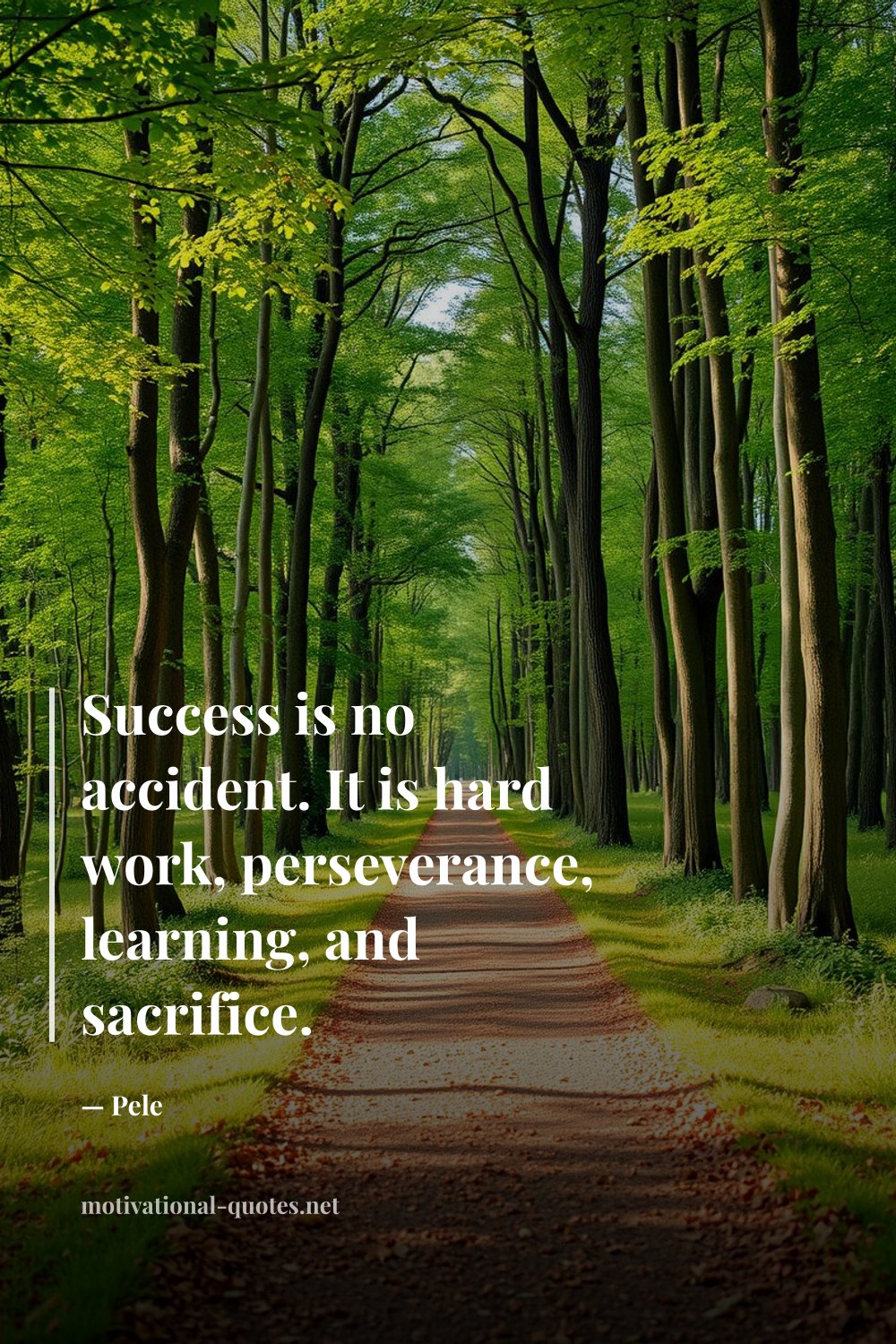 "Success is no accident. It is hard work, perseverance, learning, and sacrifice." — Pele
