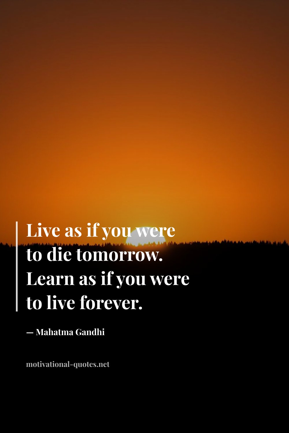 "Live as if you were to die tomorrow. Learn as if you were to live forever." — Mahatma Gandhi