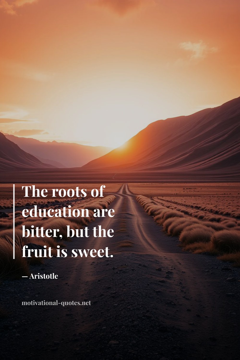 "The roots of education are bitter, but the fruit is sweet." — Aristotle