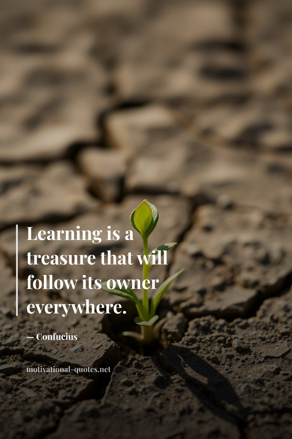 "Learning is a treasure that will follow its owner everywhere." — Confucius