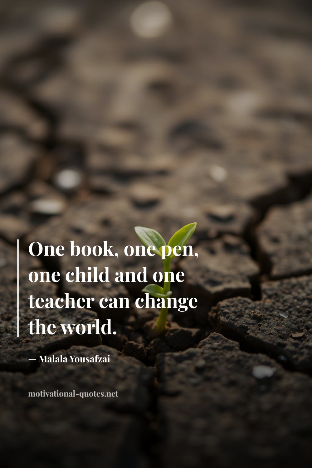 "One book, one pen, one child and one teacher can change the world." — Malala Yousafzai