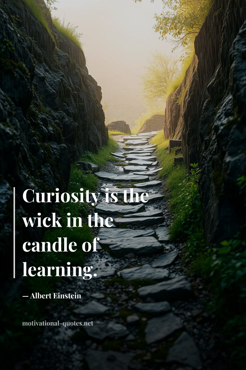 "Curiosity is the wick in the candle of learning." — Albert Einstein