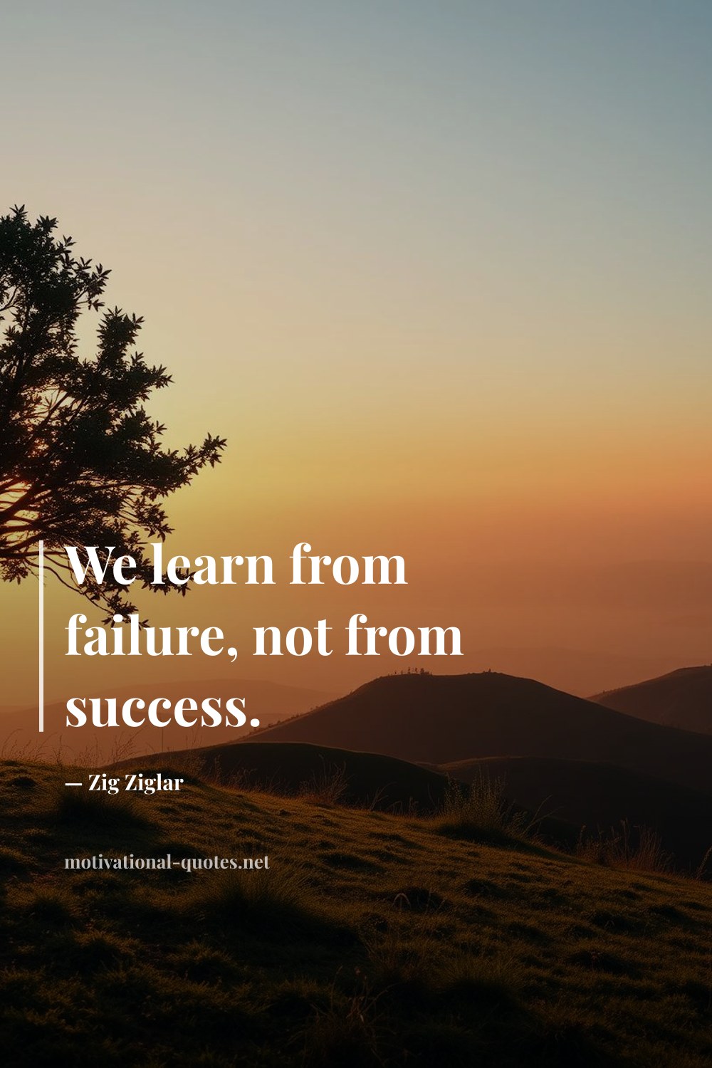 "We learn from failure, not from success." — Zig Ziglar