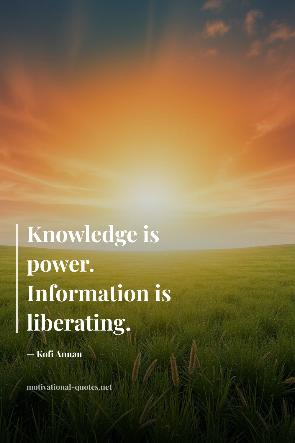 "Knowledge is power. Information is liberating." — Kofi Annan
