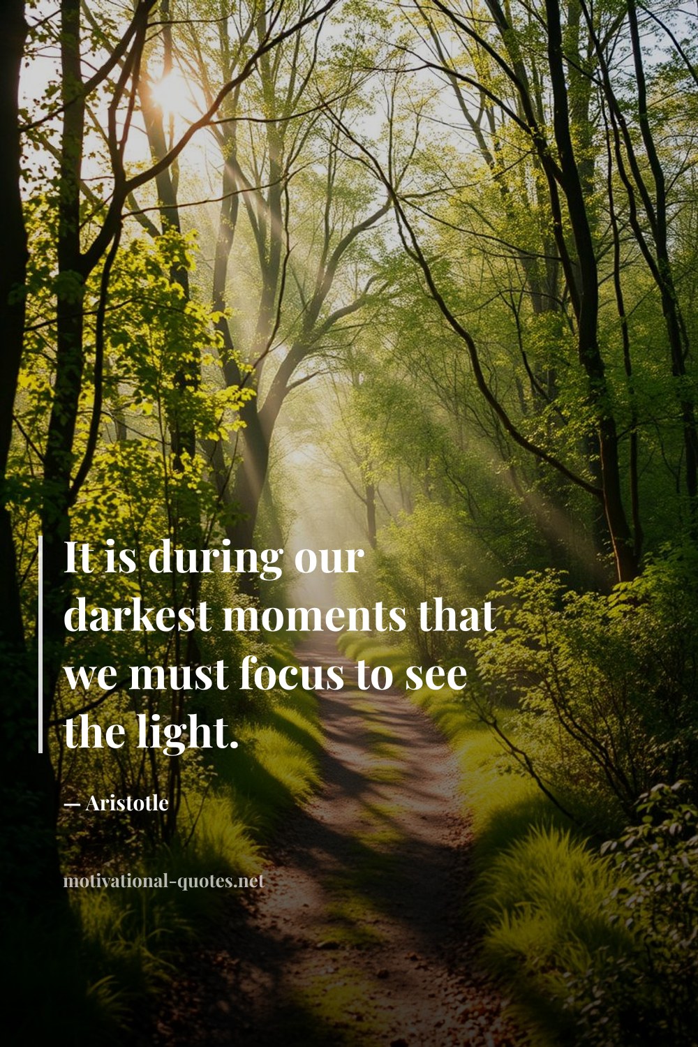 "It is during our darkest moments that we must focus to see the light." — Aristotle