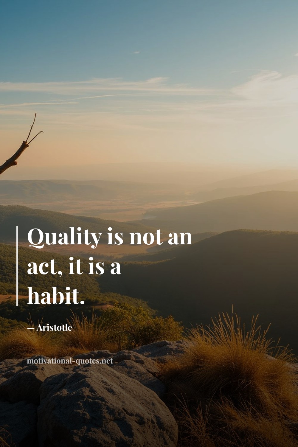 "Quality is not an act, it is a habit." — Aristotle