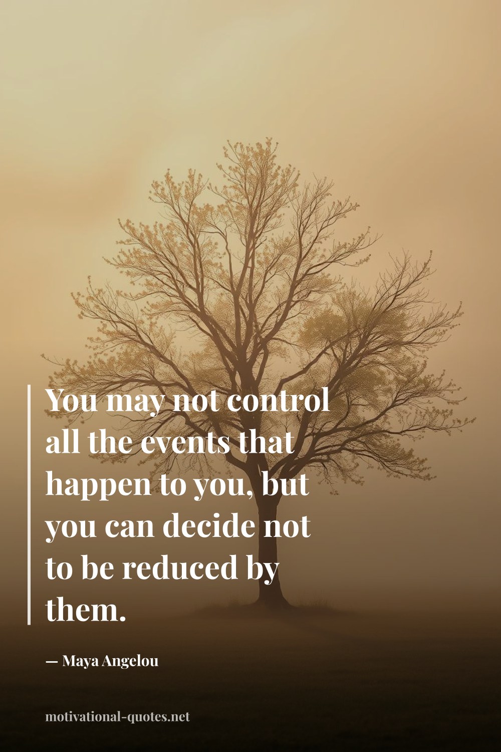 "You may not control all the events that happen to you, but you can decide not to be reduced by them." — Maya Angelou