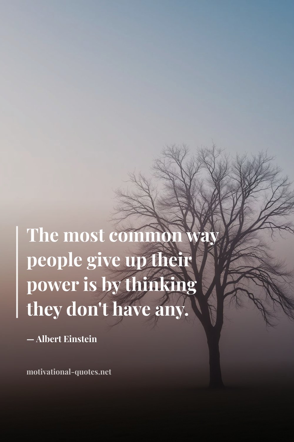 "The most common way people give up their power is by thinking they don't have any." — Albert Einstein
