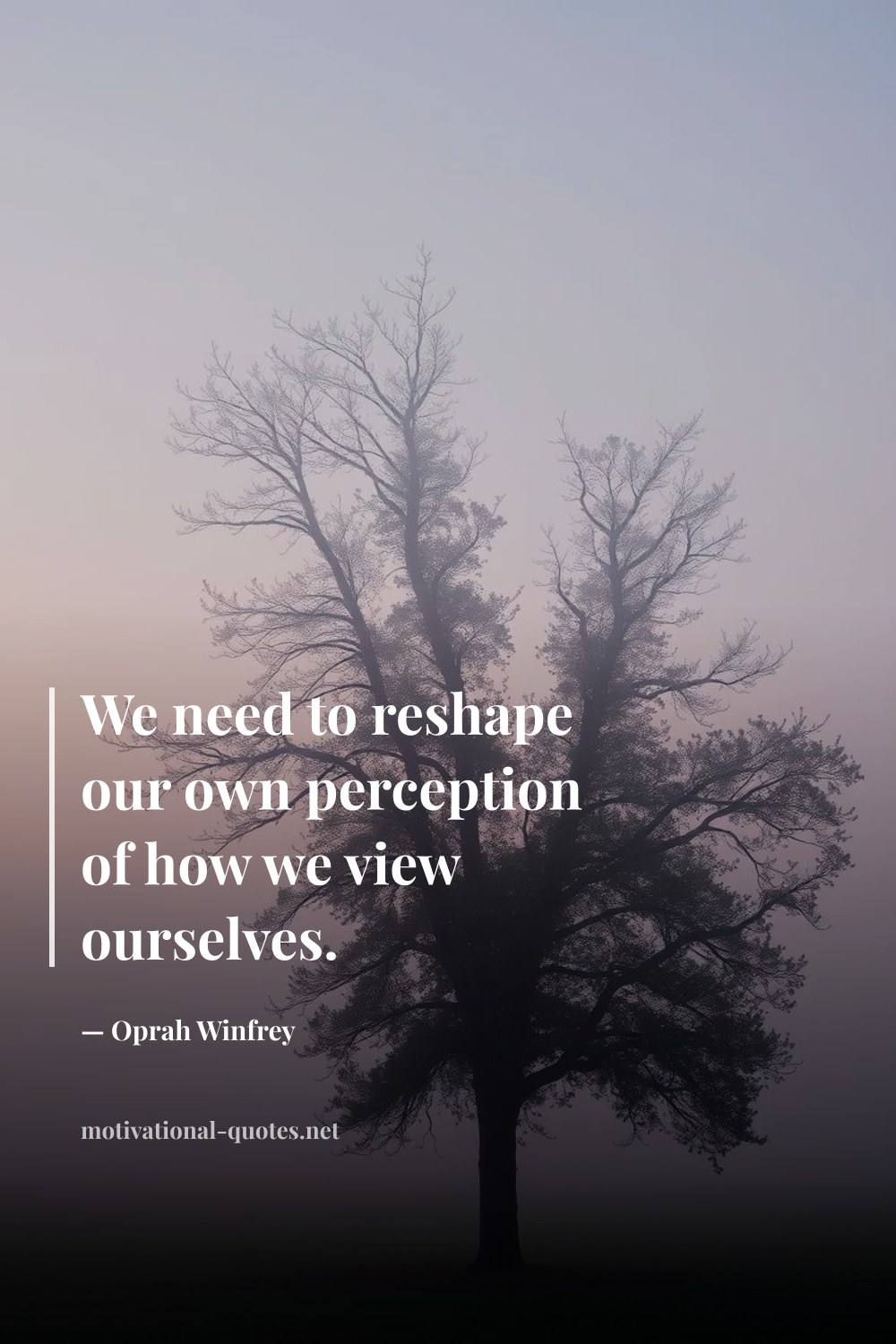 "We need to reshape our own perception of how we view ourselves." — Oprah Winfrey