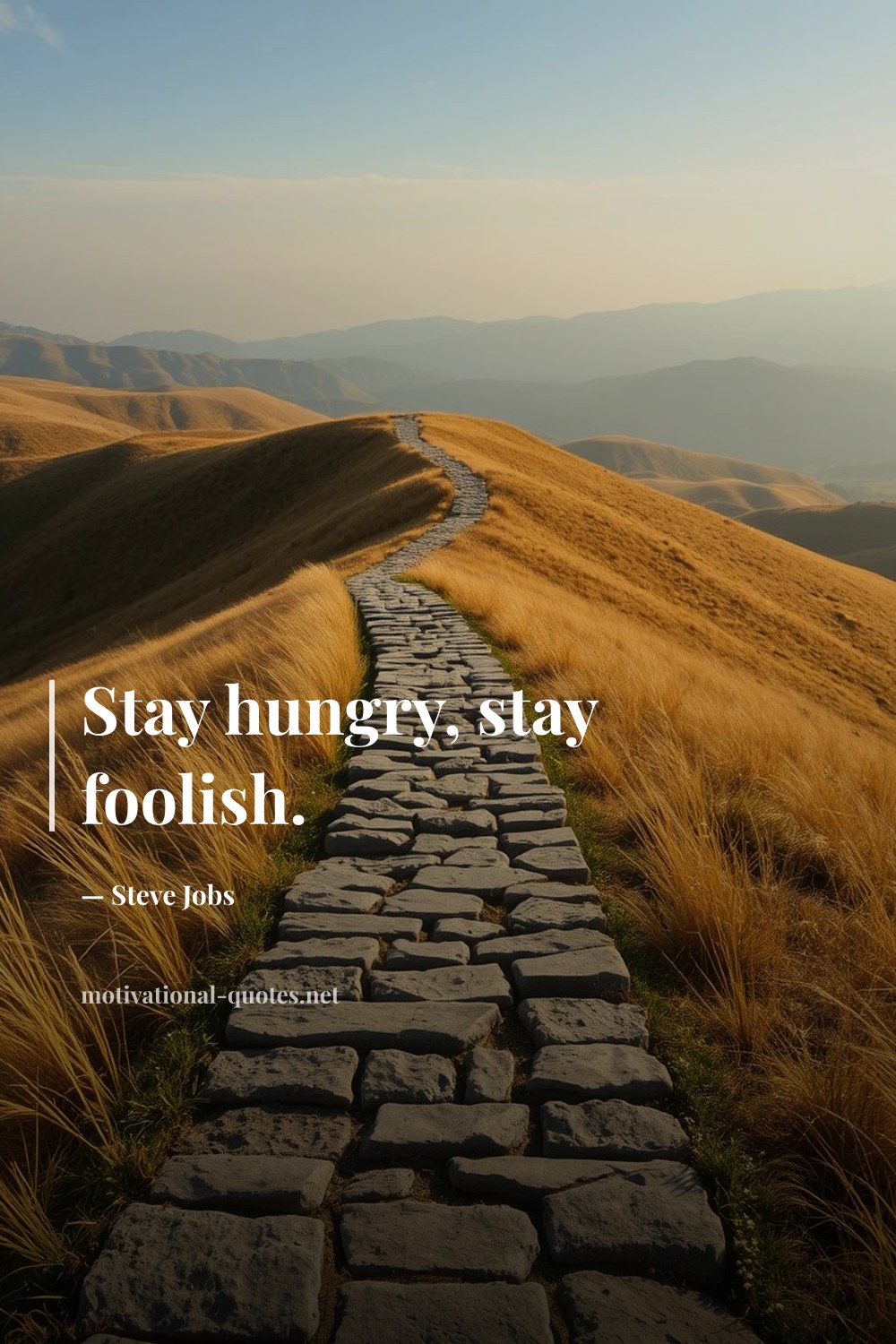 "Stay hungry, stay foolish." — Steve Jobs