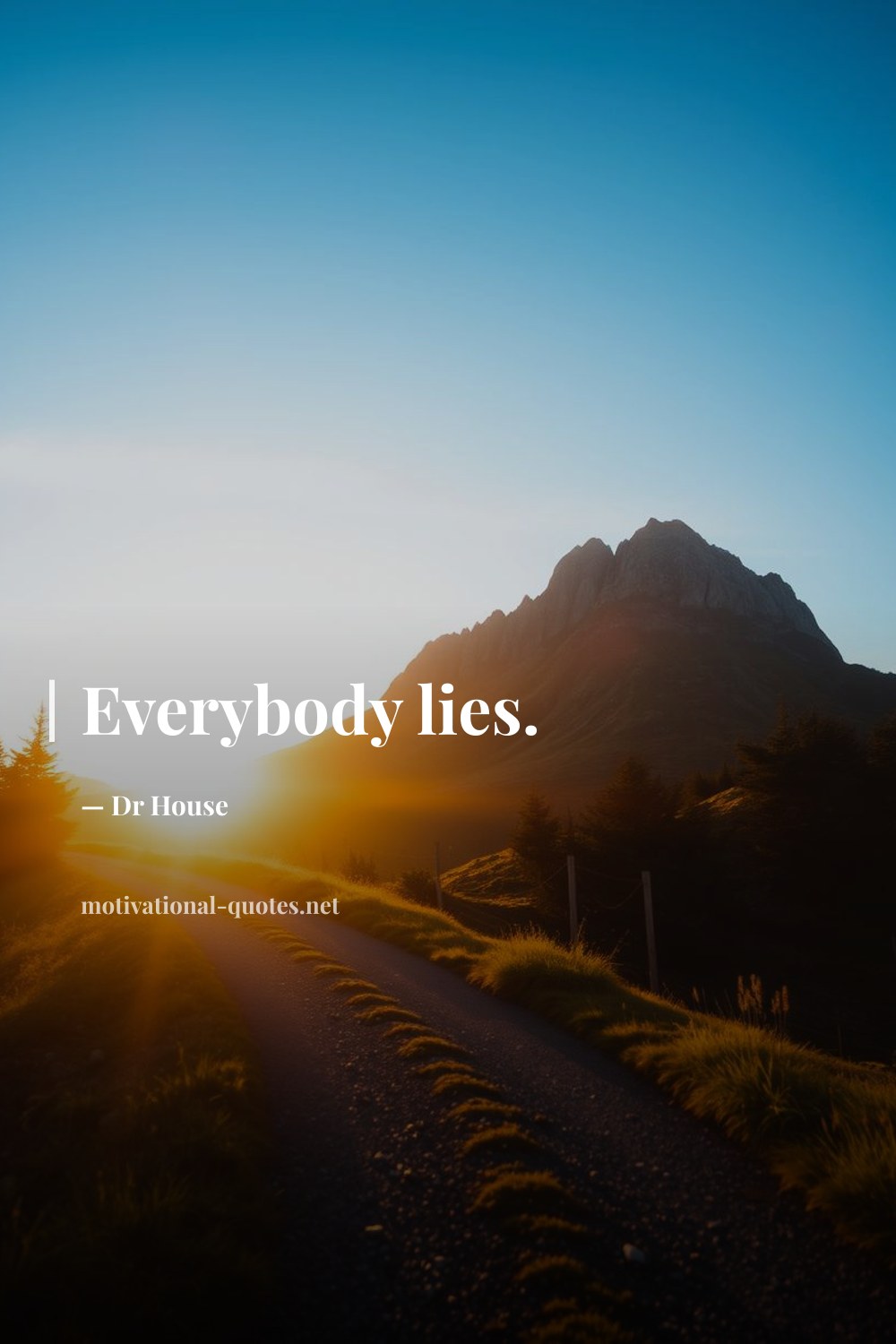 "Everybody lies." — Dr House