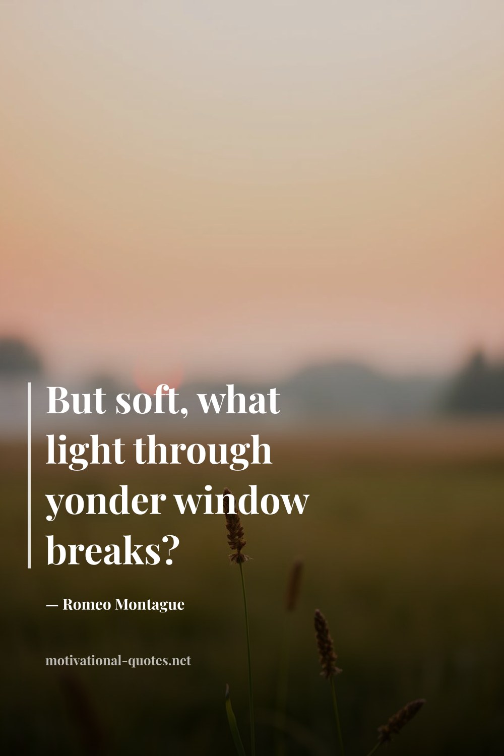"But soft, what light through yonder window breaks?" — Romeo Montague