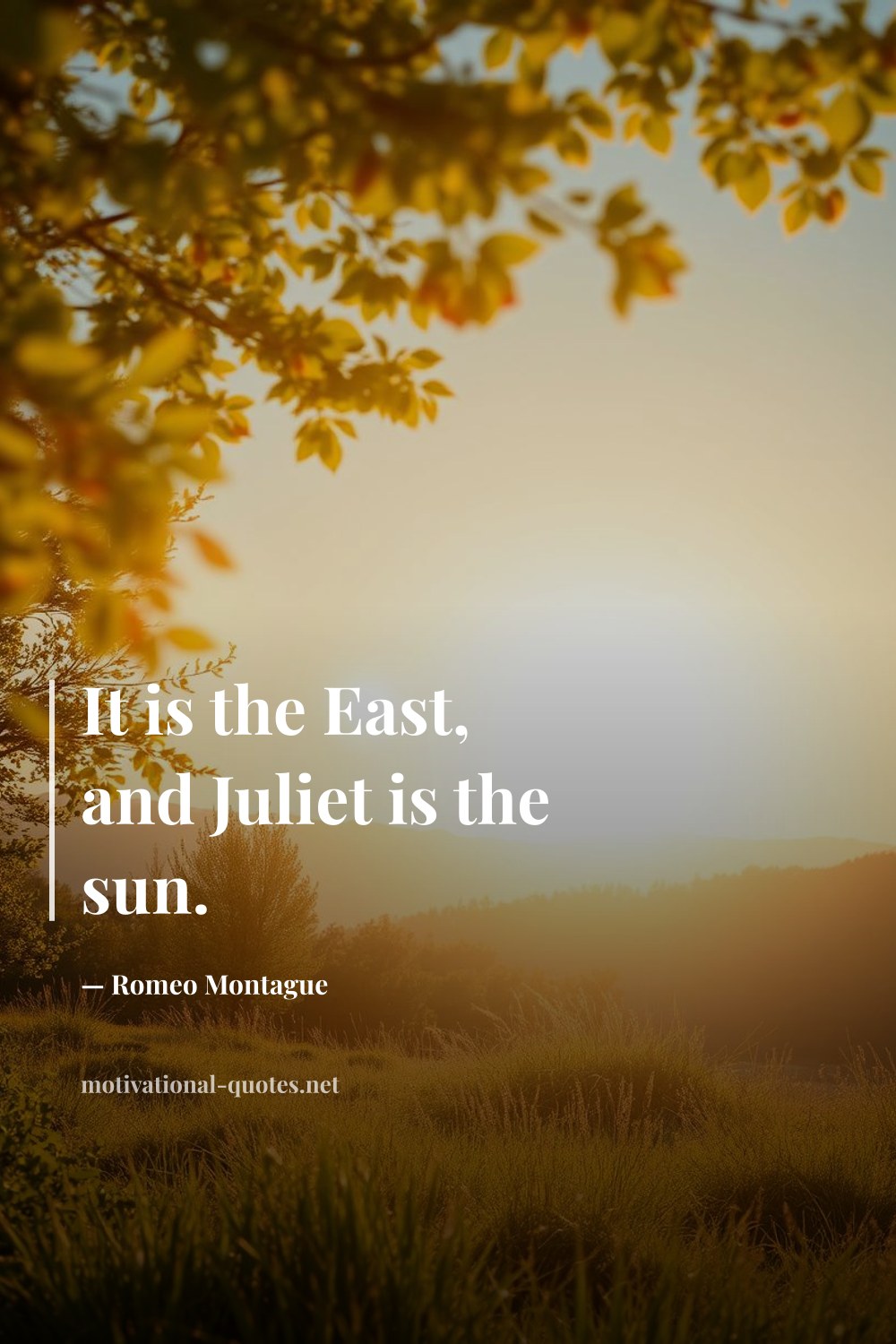 "It is the East, and Juliet is the sun." — Romeo Montague