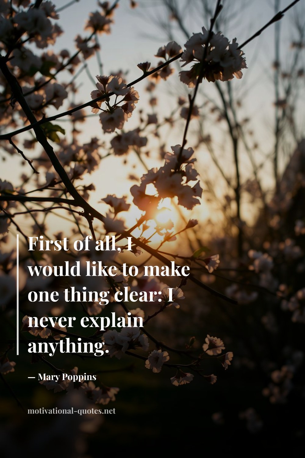 "First of all, I would like to make one thing clear: I never explain anything." — Mary Poppins