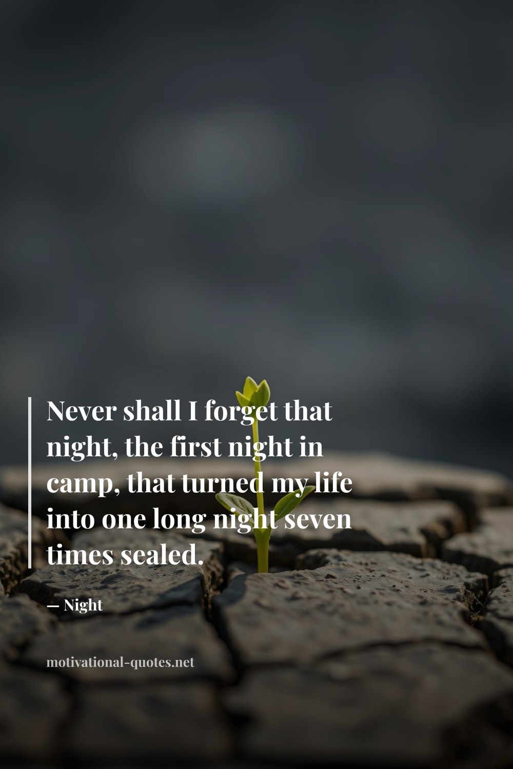 "Never shall I forget that night, the first night in camp, that turned my life into one long night seven times sealed." — Night