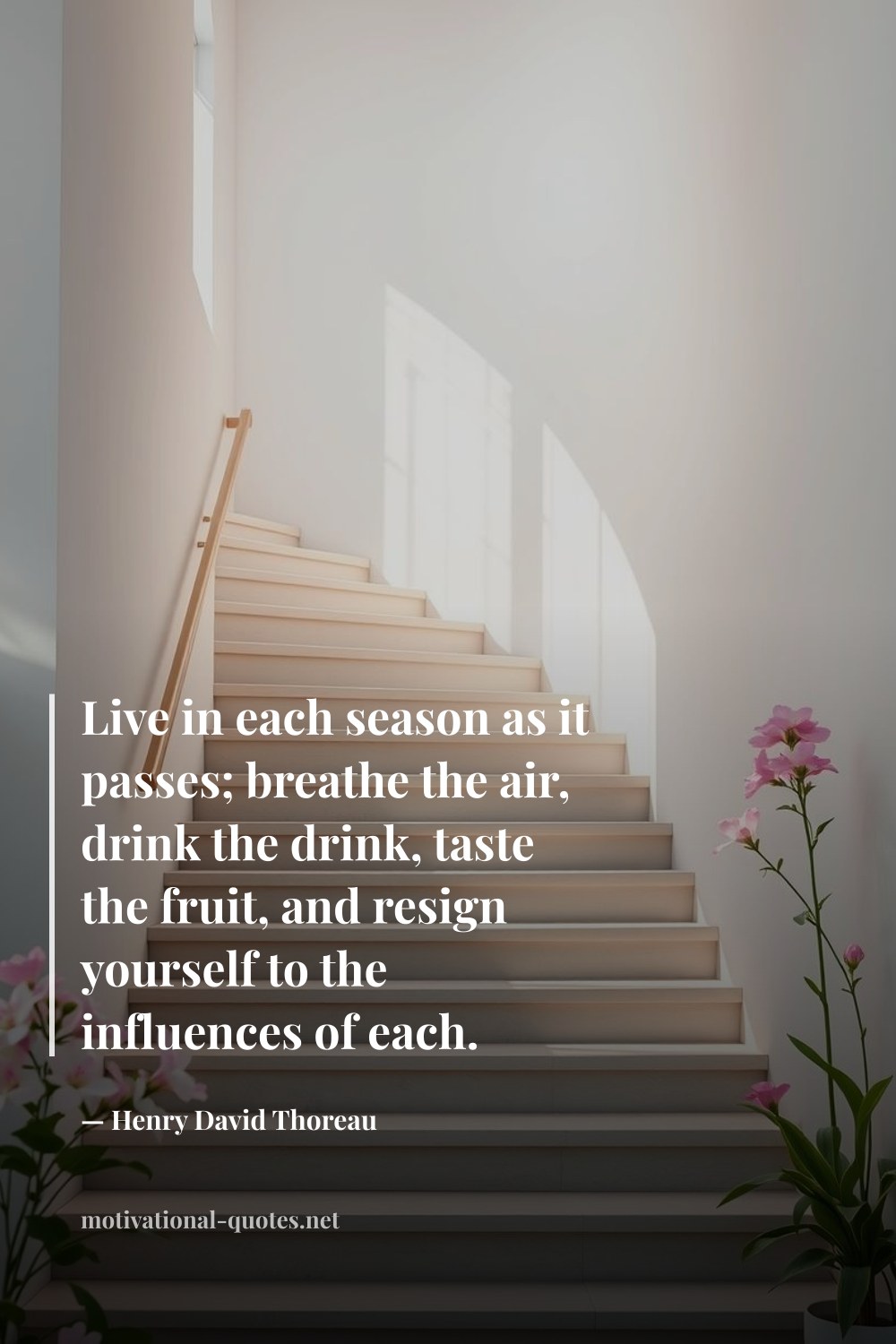 "Live in each season as it passes; breathe the air, drink the drink, taste the fruit, and resign yourself to the influences of each." — Henry David Thoreau